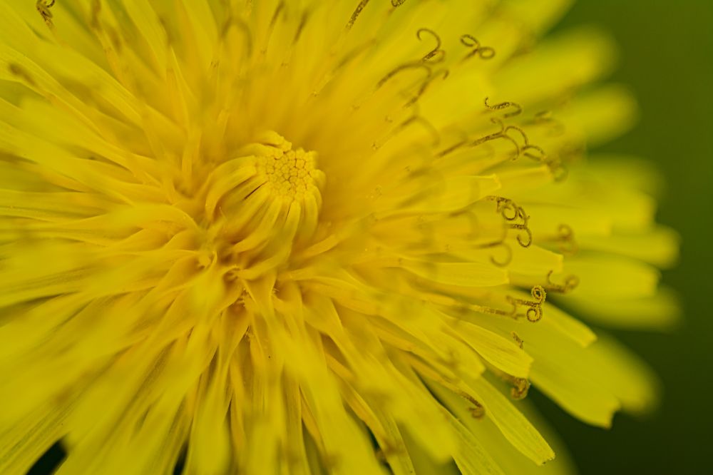 Photograph by Елена Берсенёва