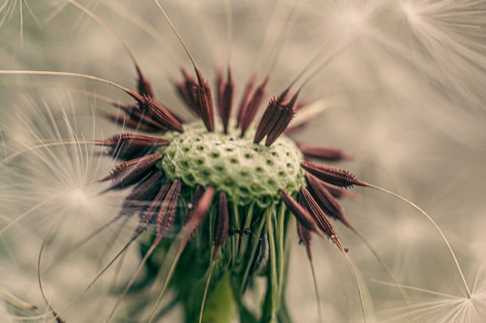 Photograph by Magic Helios