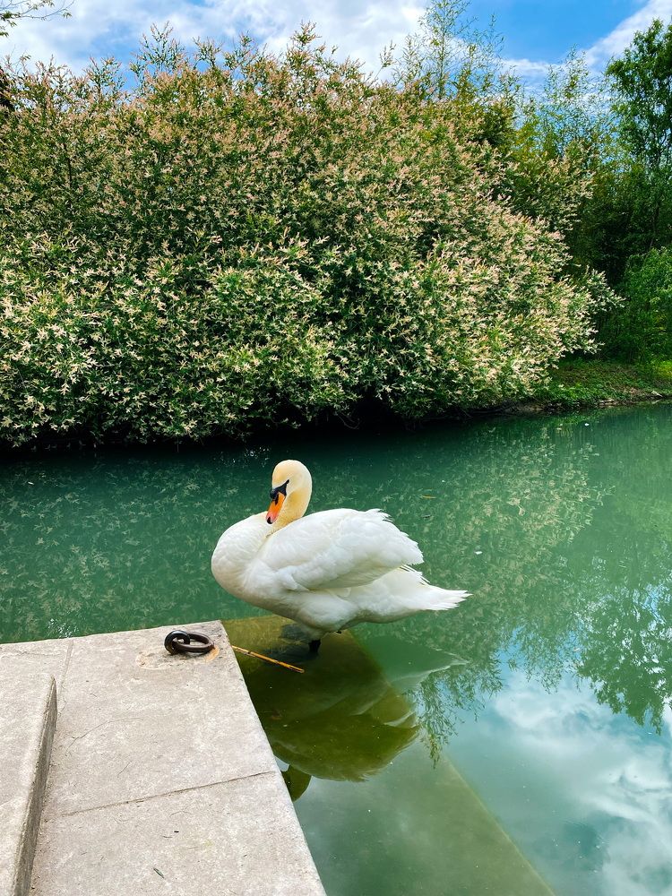 Photograph by Дарья Андреева