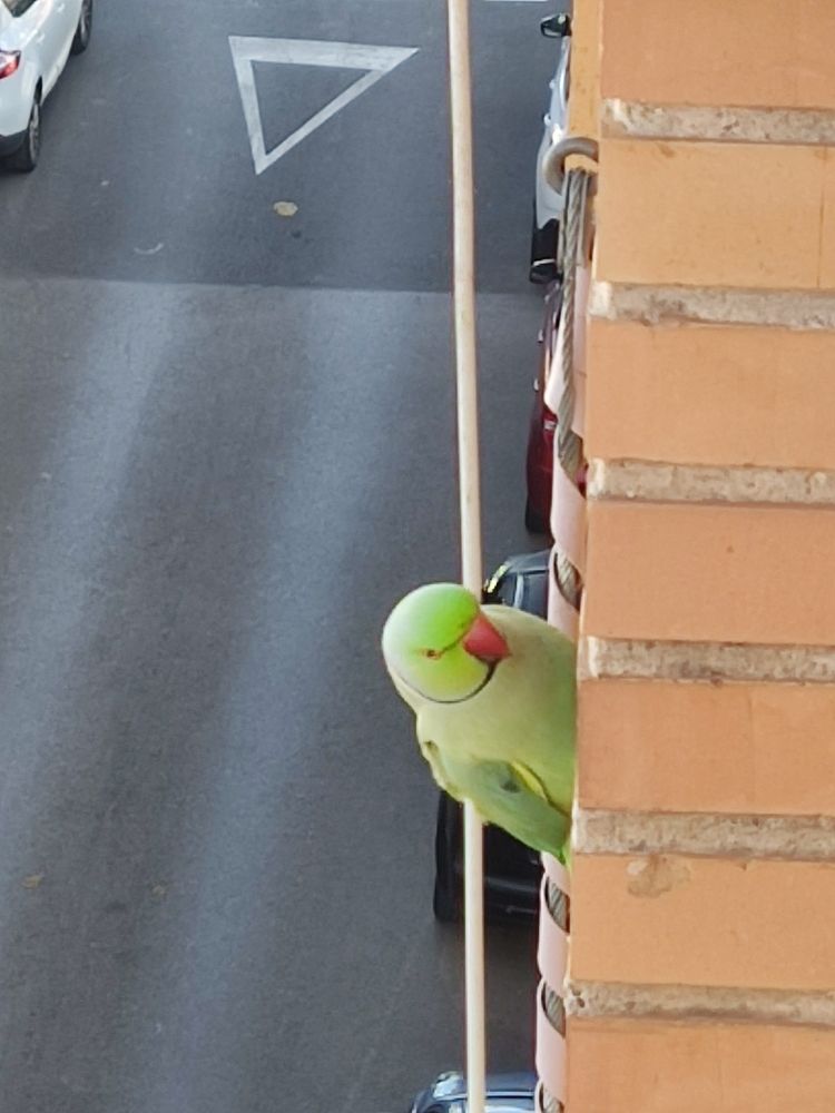 Фотография автора Herraiz Jorge