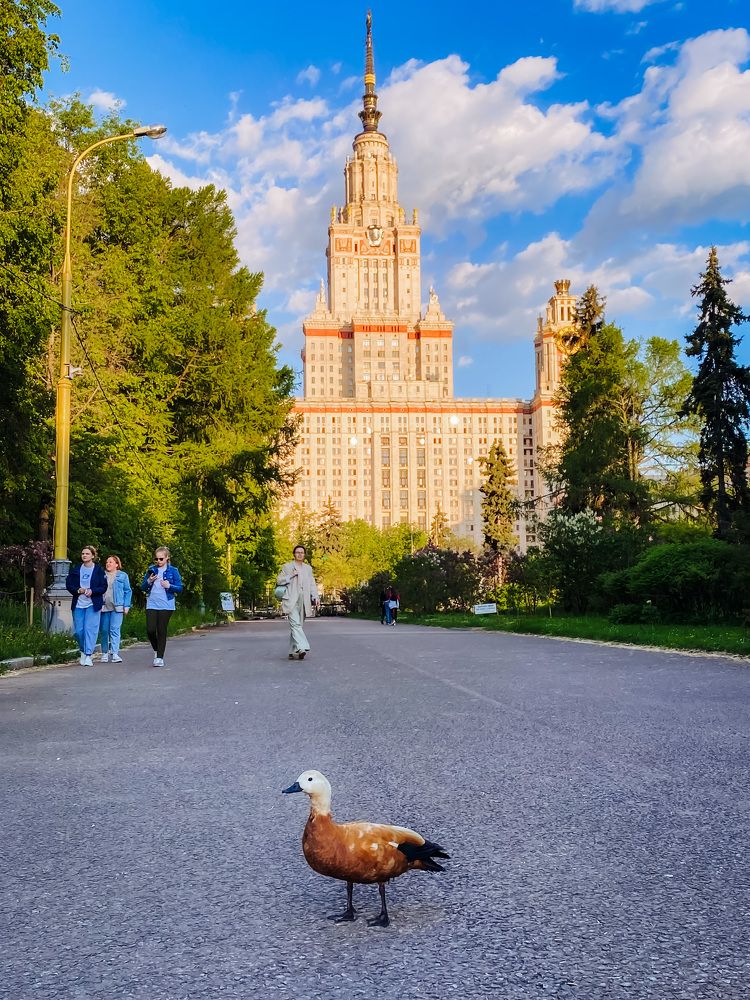 Photograph by Дарья Андреева