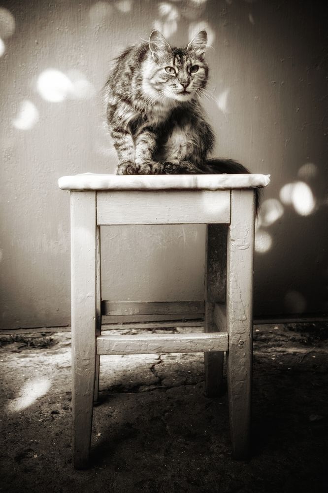 Photograph by Елена Шабельникова