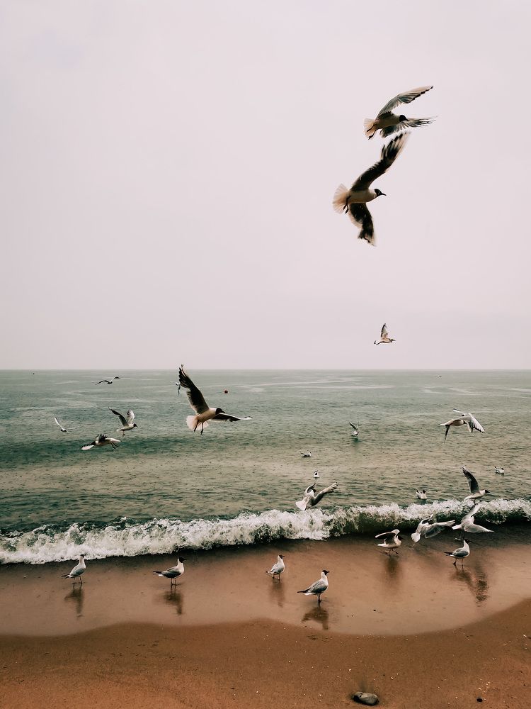 Photograph by Дарья Андреева