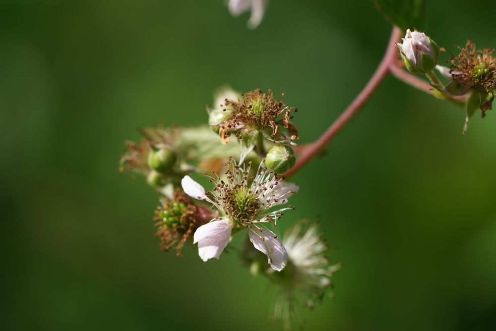 Photograph by Галина Аскольдовна Луковникова