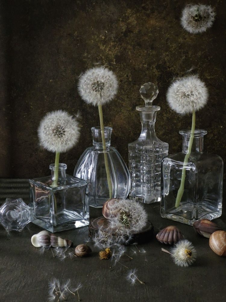 Photograph by Angelica Medvedeva