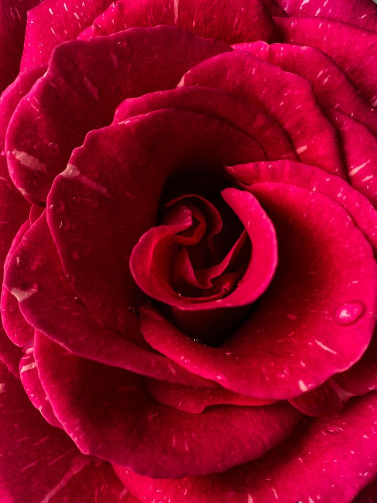 Photograph by Дарья Андреева