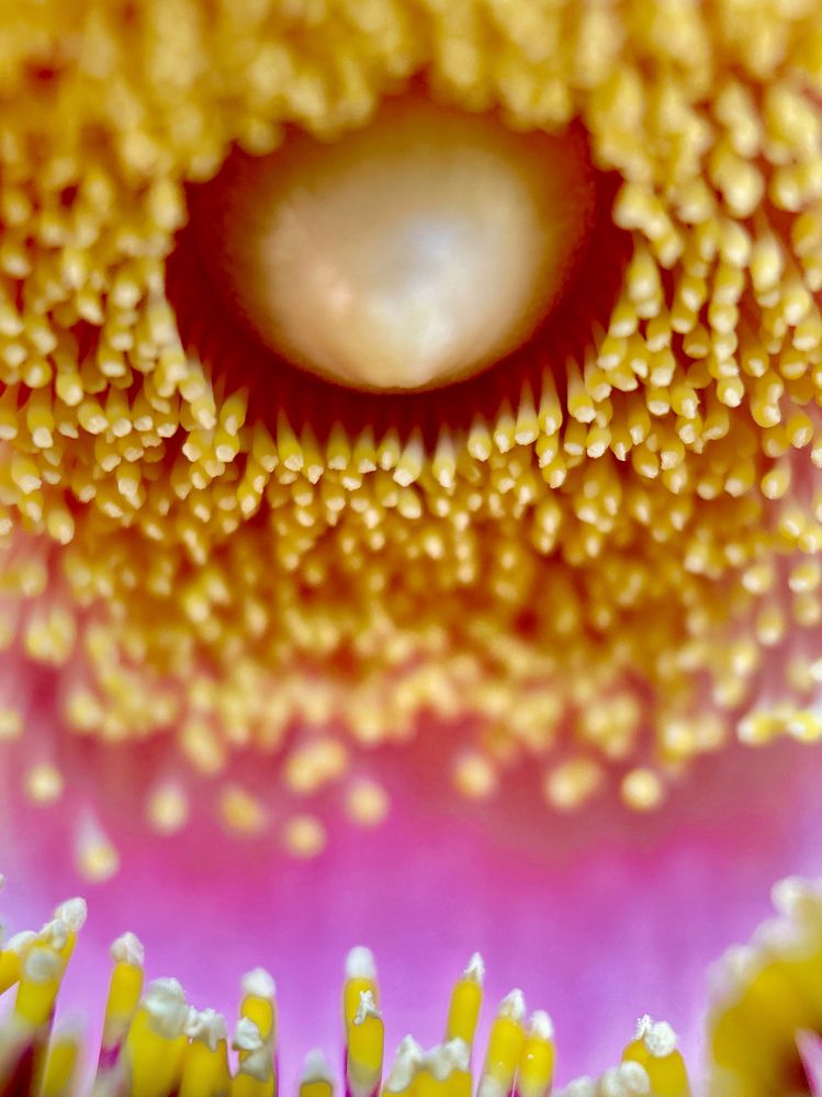 Фотография автора Tushar Bhogle