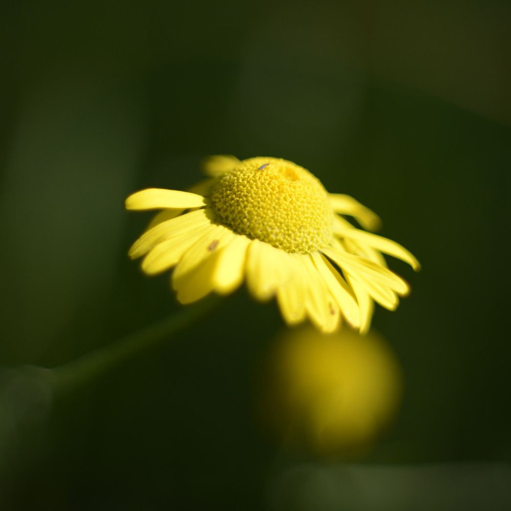 Photograph by Михаил Подковыров