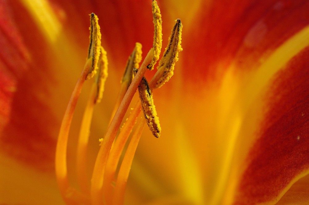 Photograph by Наталья Камайкина