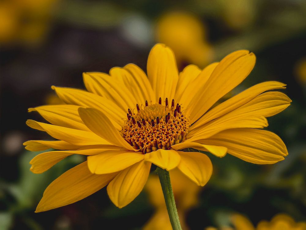 Photograph by Сергей Балашов