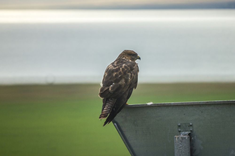 Photograph by Иван Овчинников