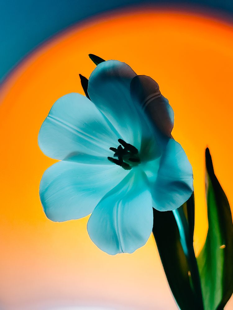 Photograph by Виктория Дворецкая