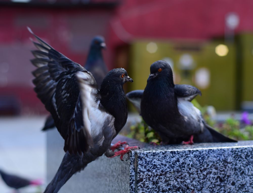 Photograph by Владислав Кравцов