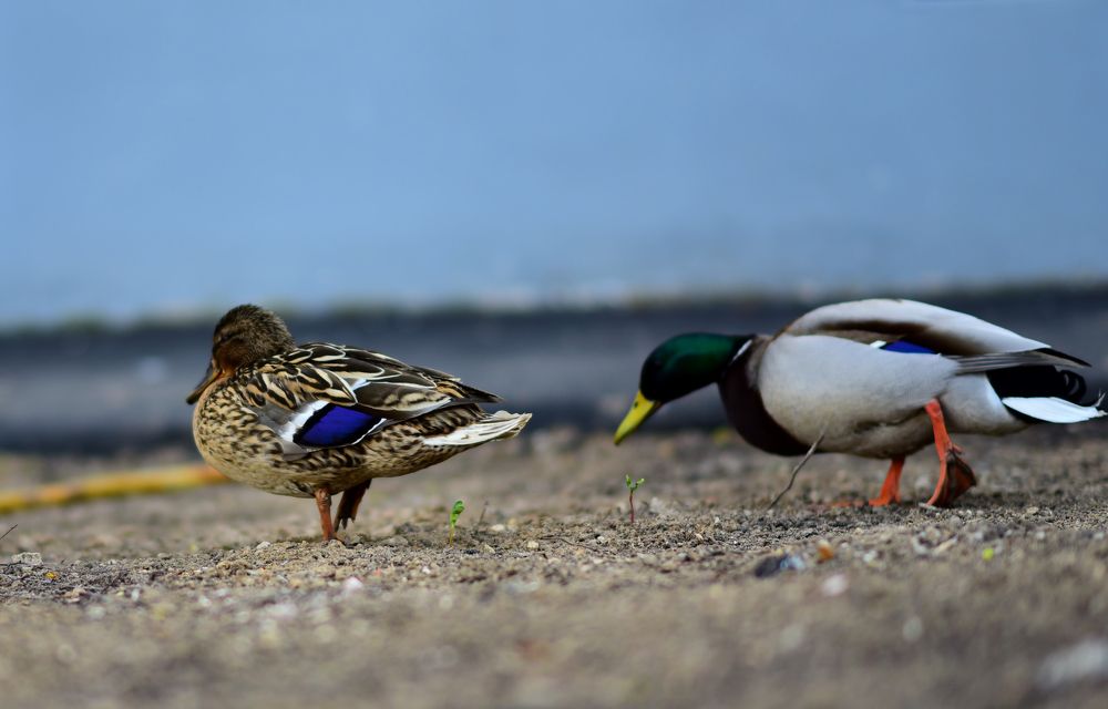 Photograph by Владислав Кравцов