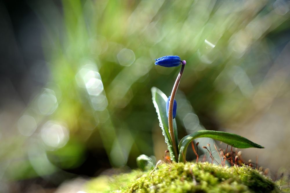 Photograph by Владимир Щеголев