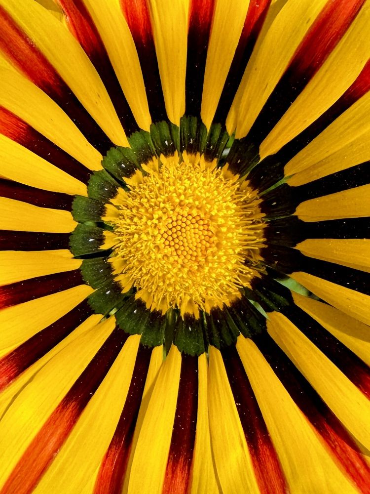 Photograph by Irina Kolotova