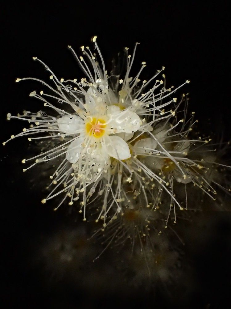 Вспышка в ночи. Flash in the night