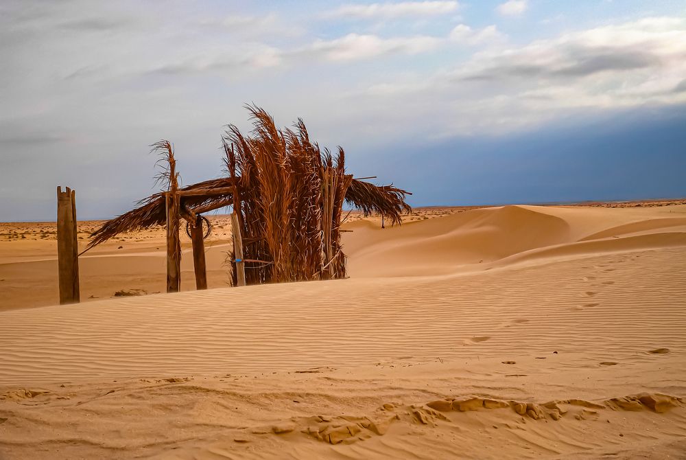 Photograph by Алексей Мякота