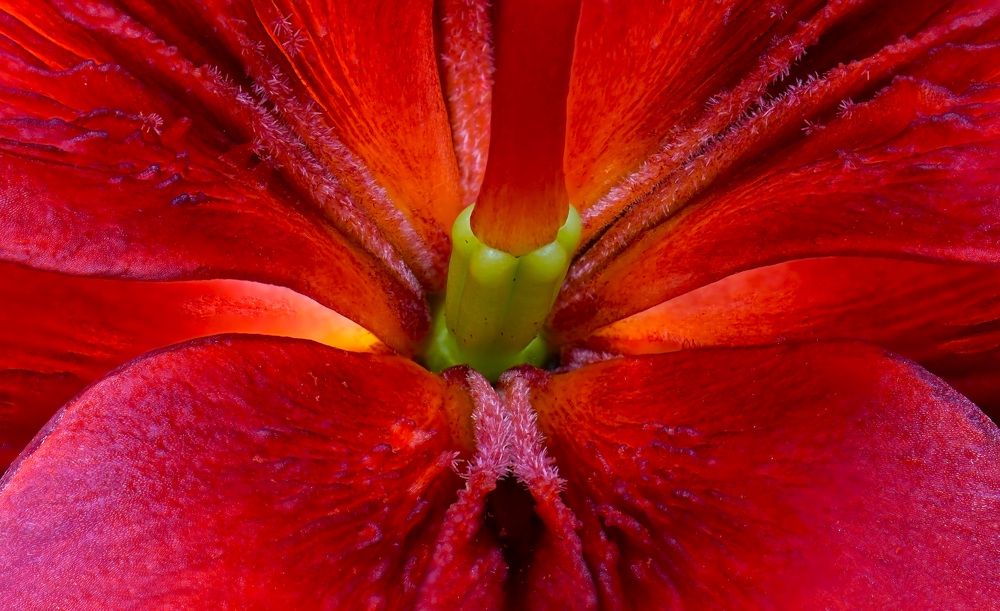 Photograph by Наталья Соколова