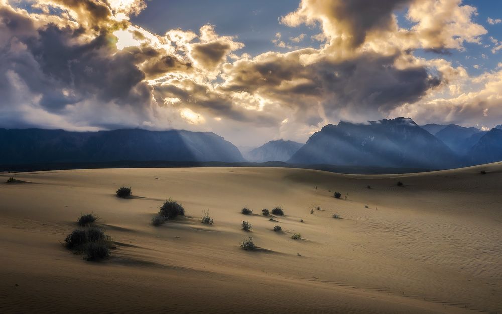 Photograph by Сергей Межин