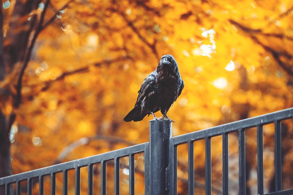 Photograph by Мария Новоселецкая