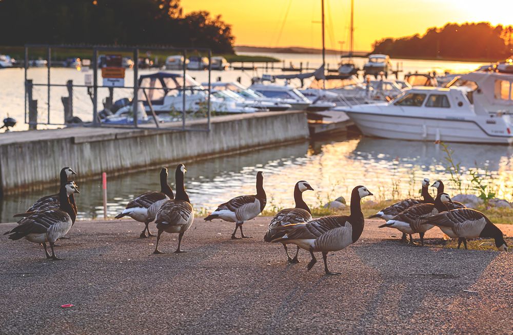 Photograph by Мария Новоселецкая