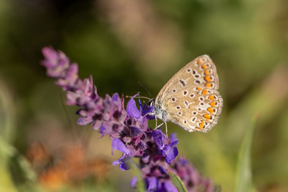 Photograph by Nastya Perekhodkina