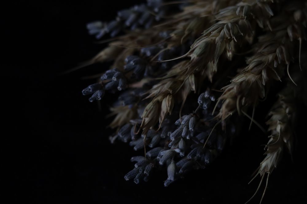 Фотография автора Yuliya Yuskova