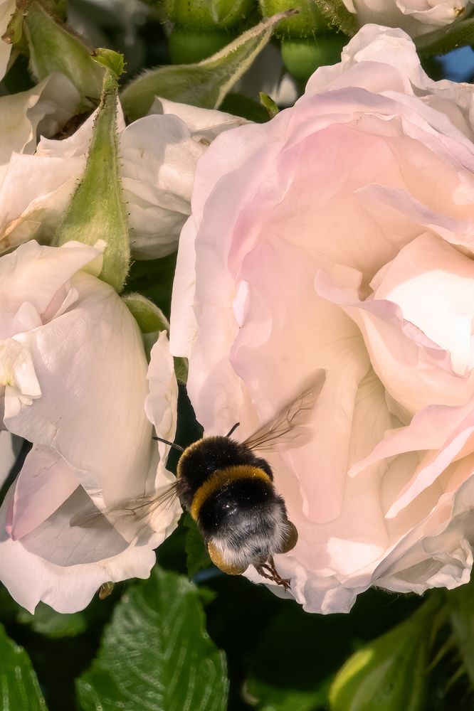 Photograph by Александр Творогов