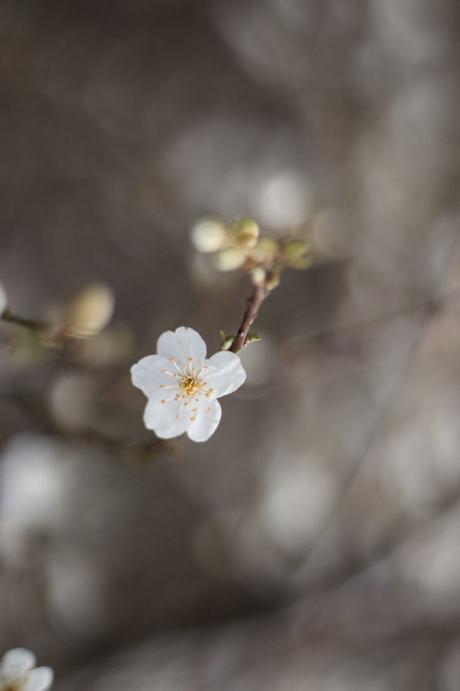 Photograph by Ксения Золотарь