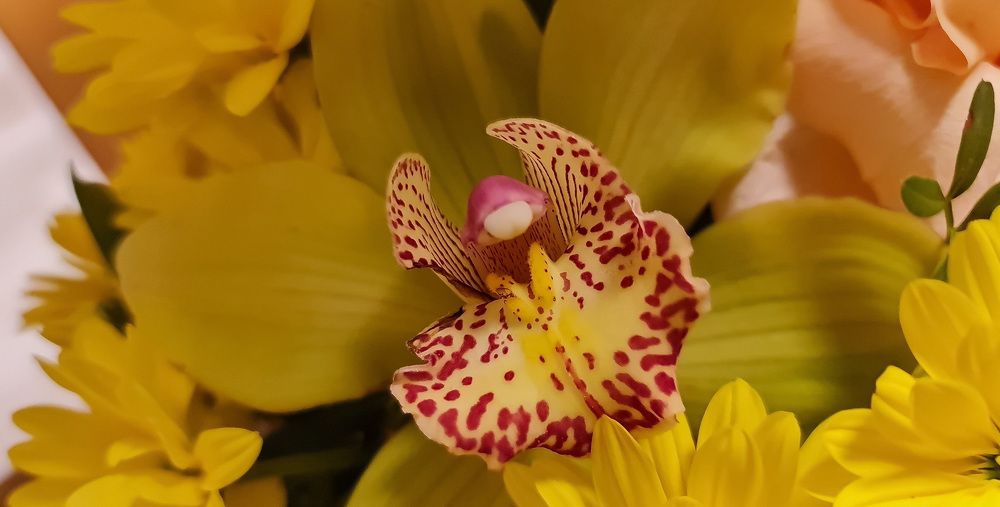 Photograph by Natasha Kim