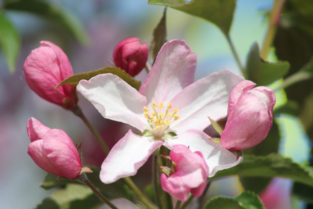 Photograph by Natasha Kim