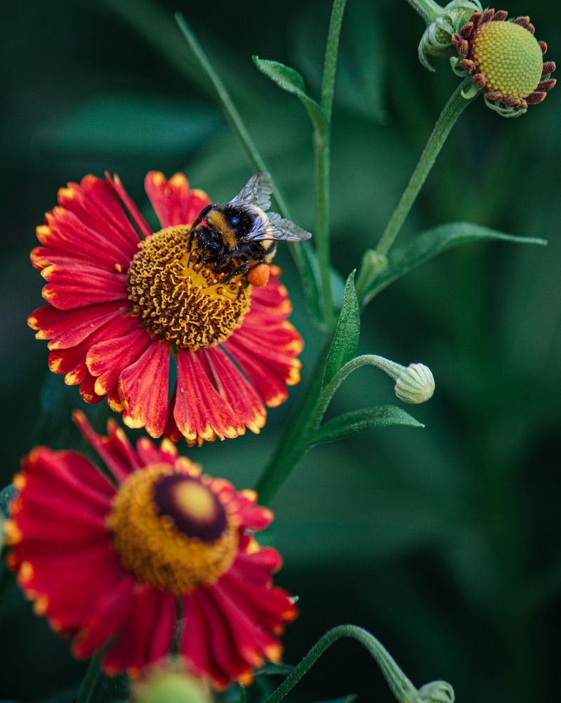 Photograph by Mikhail