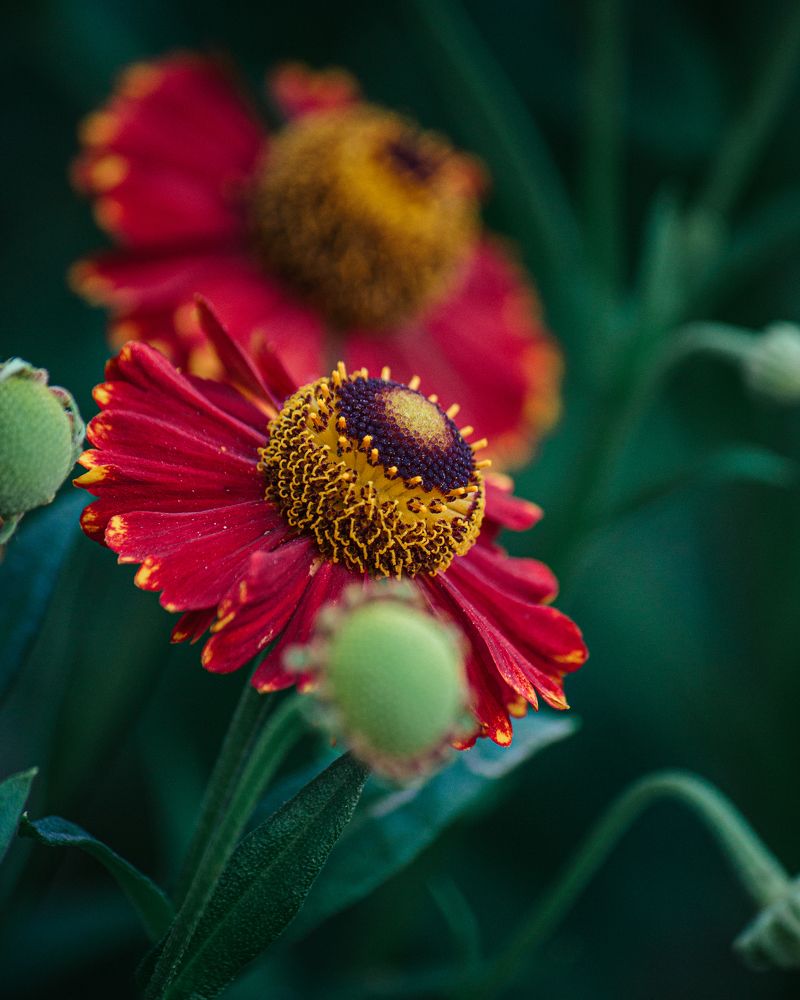 Photograph by Mikhail