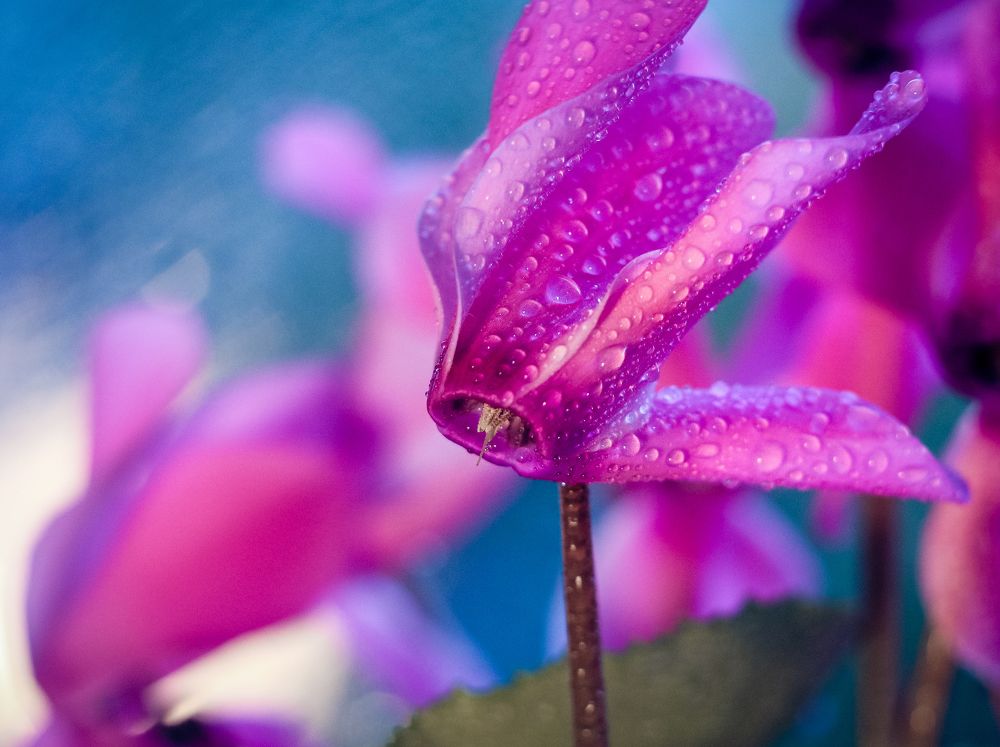 Photograph by Татьяна Егорова