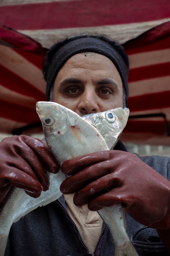 Photograph by Setareh Momenzadeh