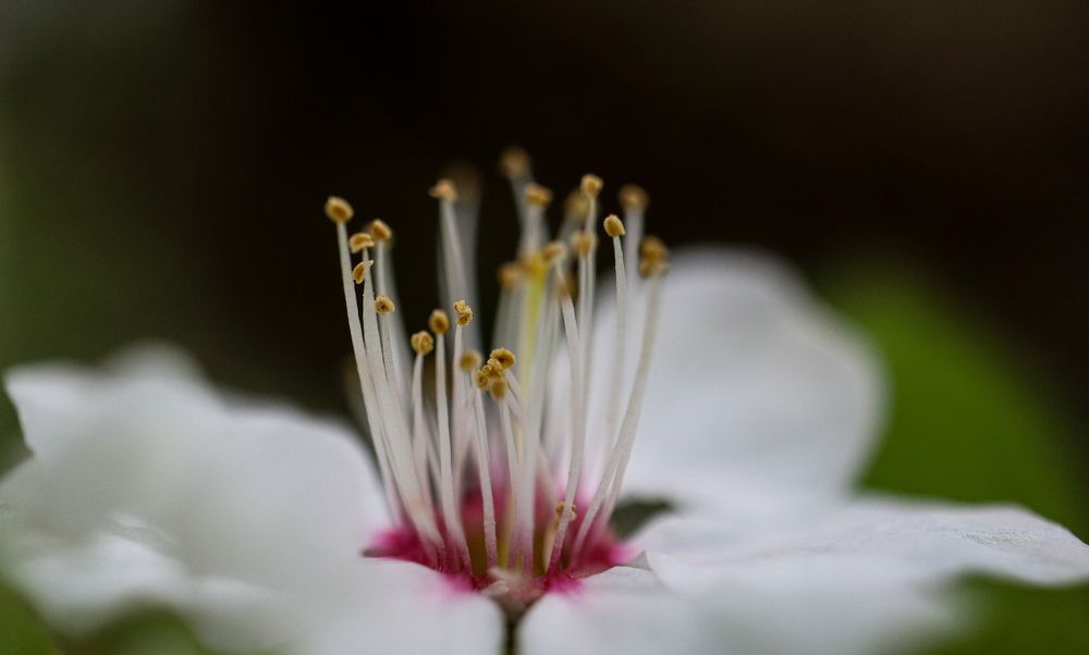 Photograph by Evgenia Korchagova