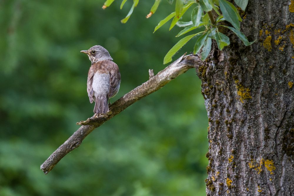 Фотография автора Irina Linina