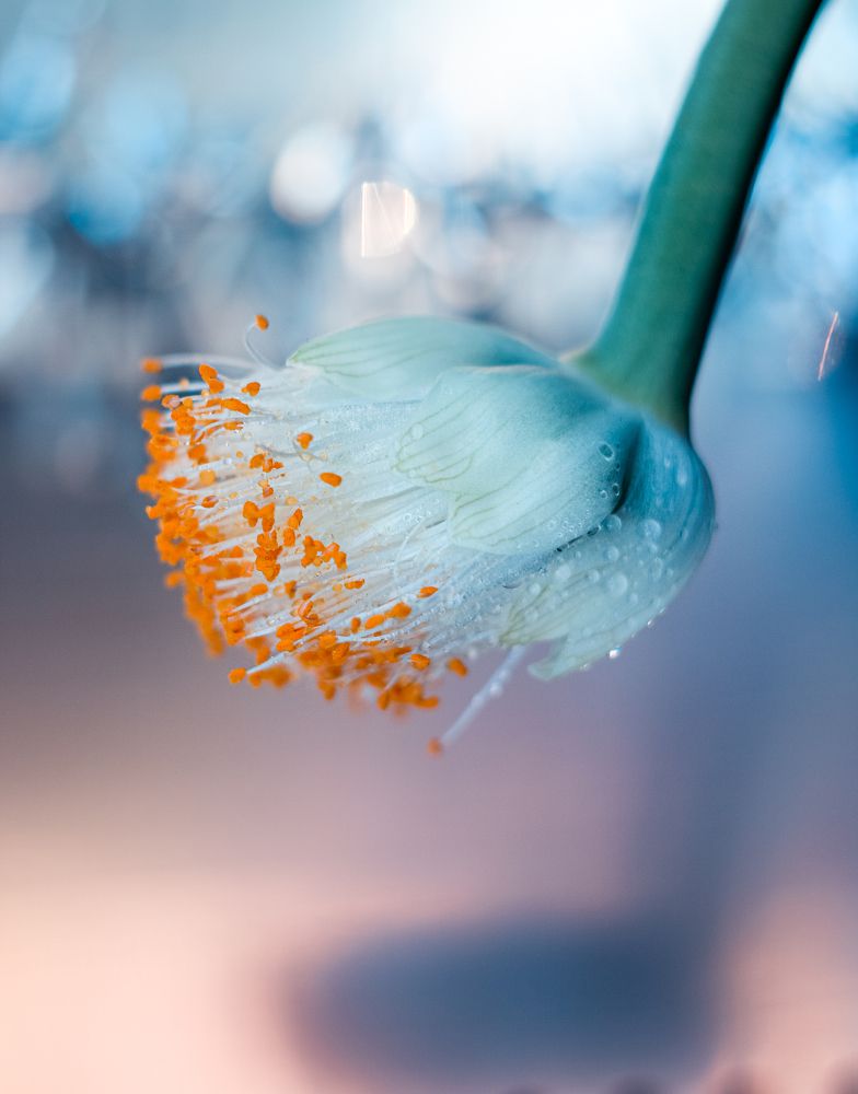 Photograph by Татьяна Егорова