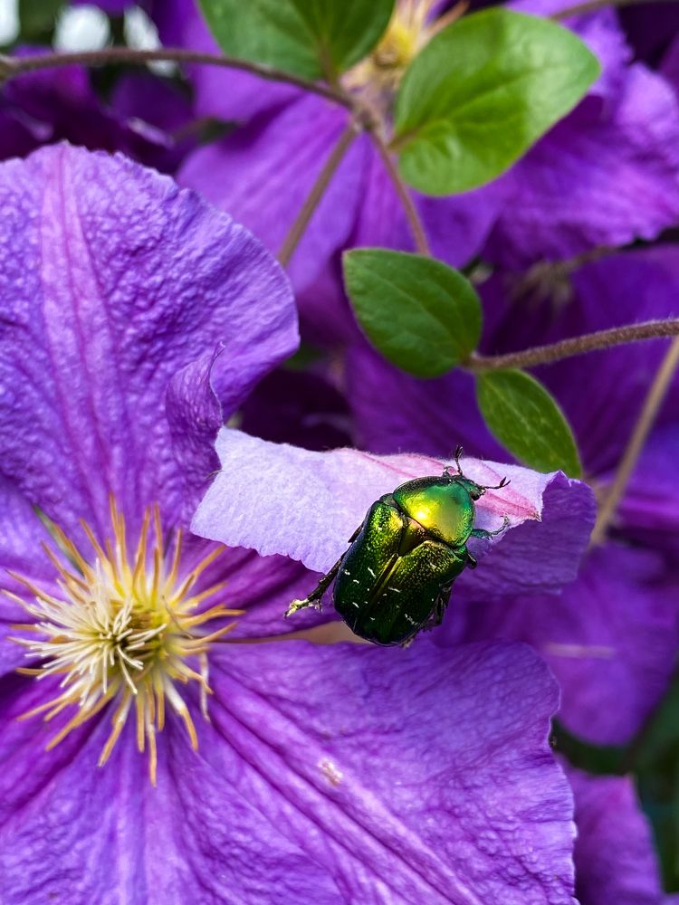 Photograph by Дарья Махнёва