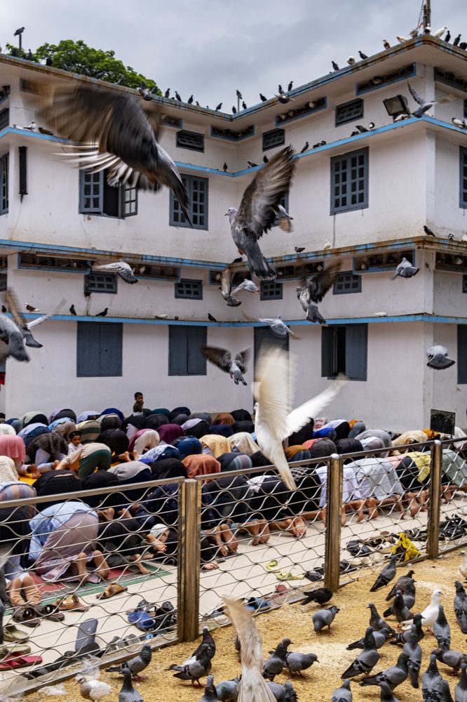 Photograph by Ayman Nakib