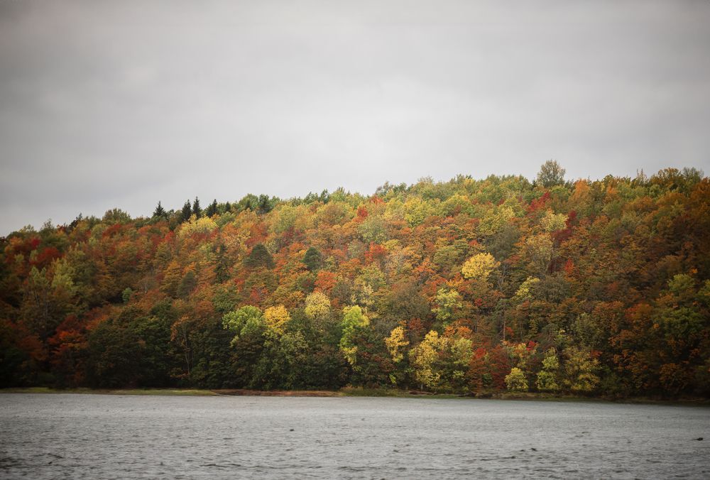 Фотография автора Баронов Фёдор