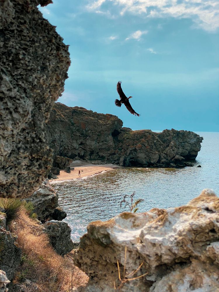 Фотография автора Екатерина Круглик