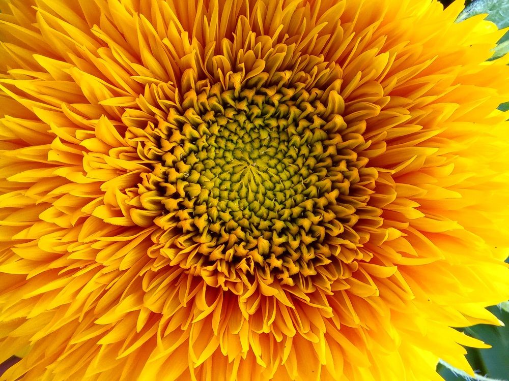 Photograph by Ольга Юрченко