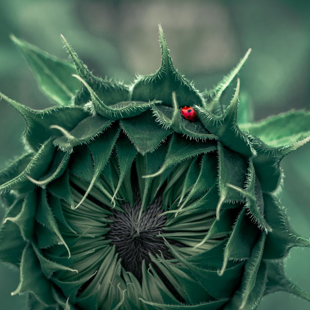 Photograph by Татьяна Егорова