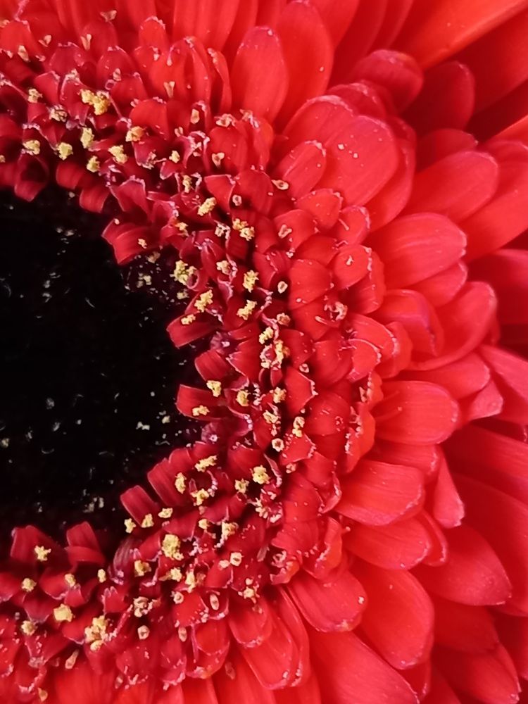 Photograph by Ольга Юрченко