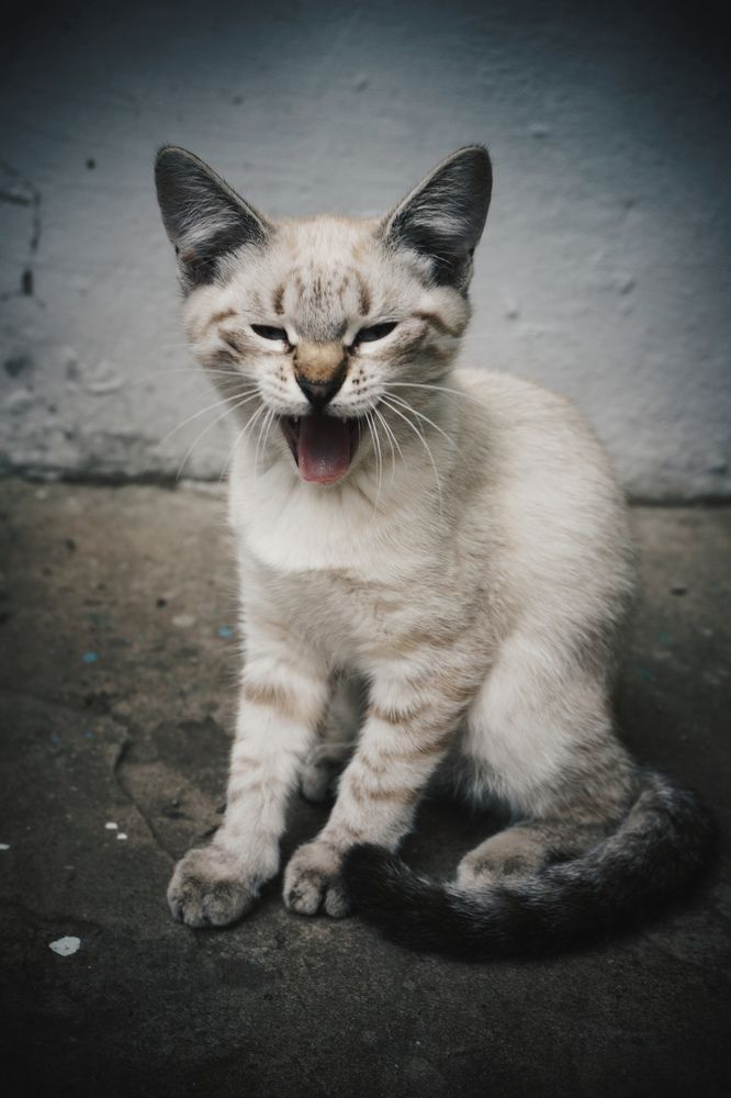 Photograph by Елена Шабельникова