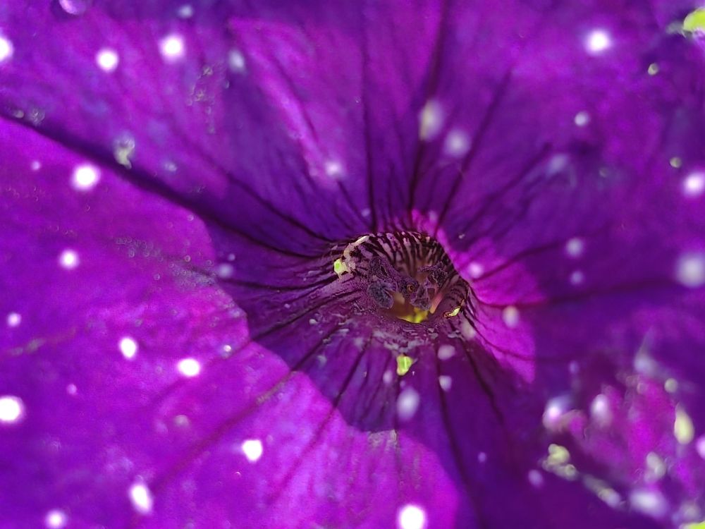 Photograph by Екатерина