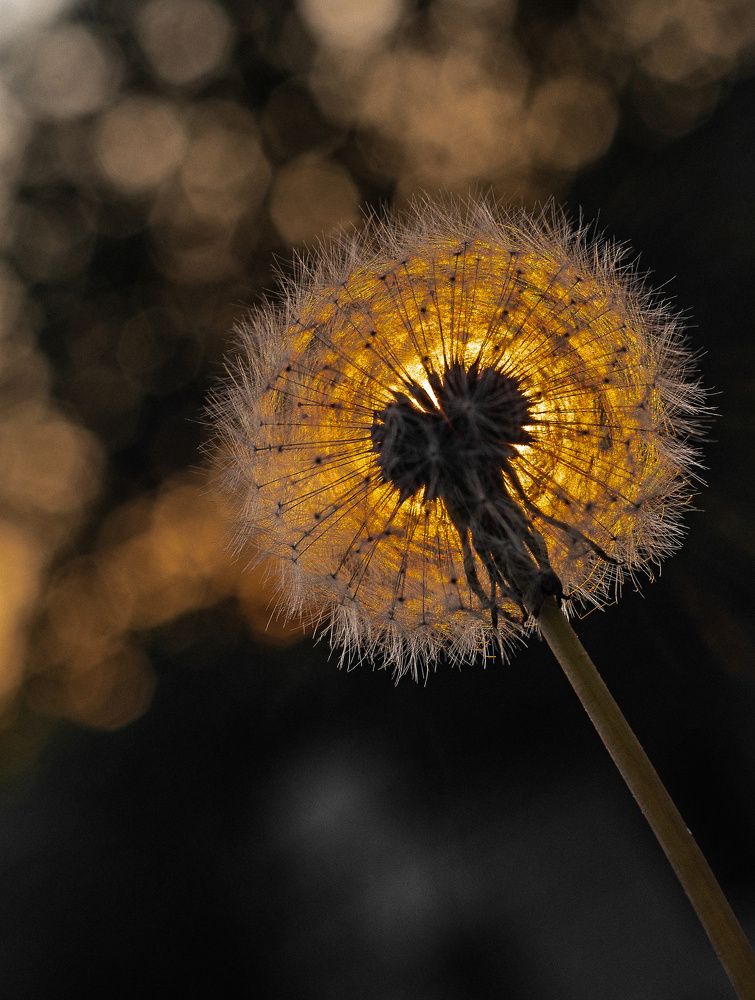 Photograph by Сергей Басов