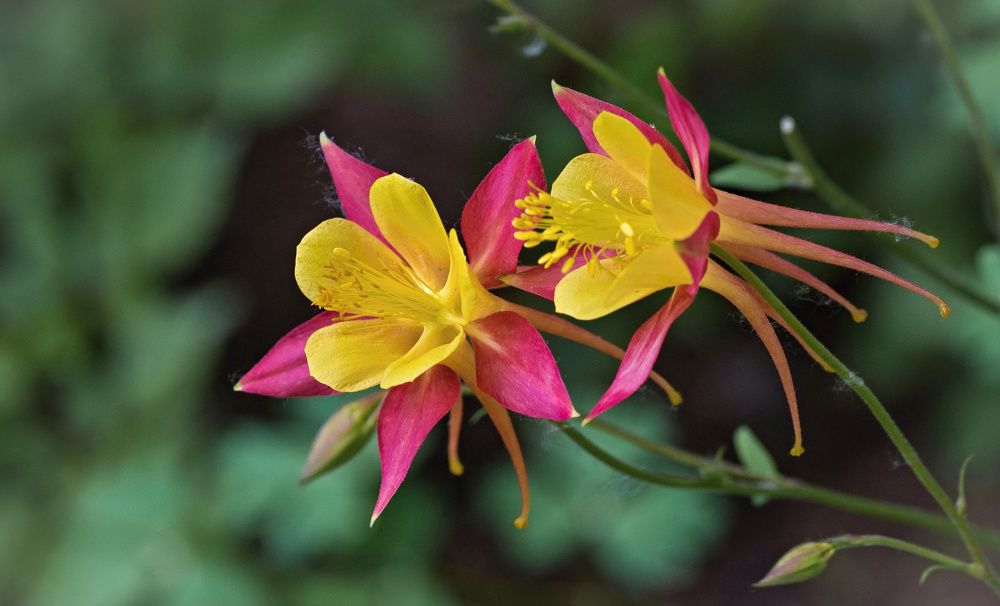 Photograph by Сергей Басов